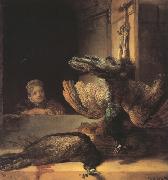 Still life with two dead Peacocks and a Girl (mk33) Rembrandt